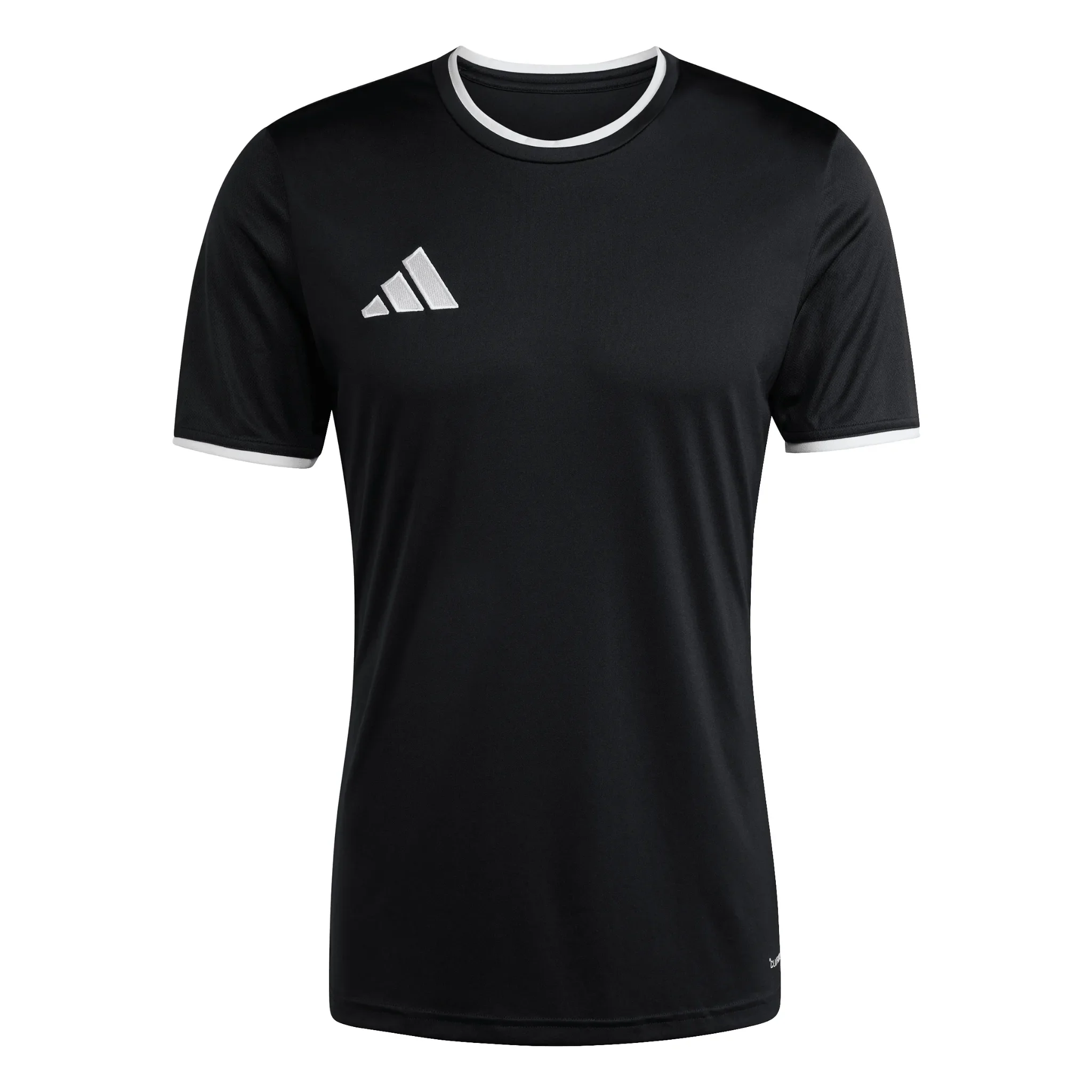 Thumbnail 29