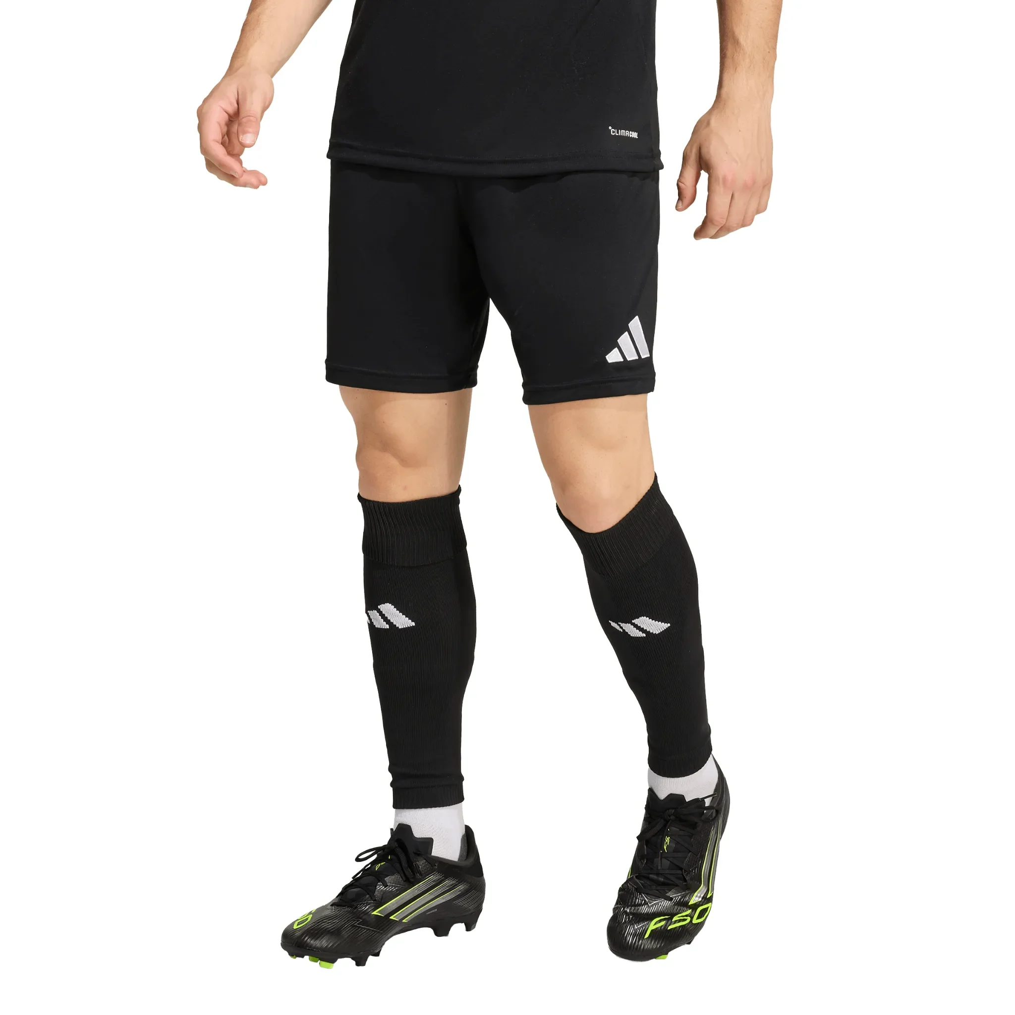 Thumbnail 21