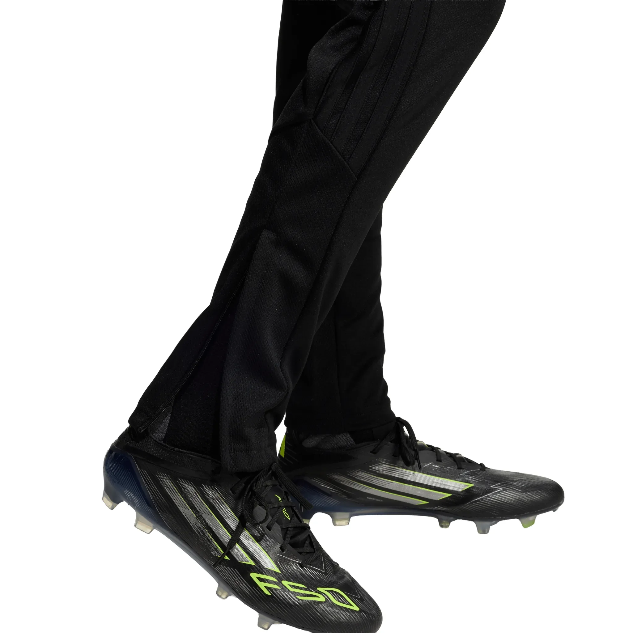 Thumbnail 15